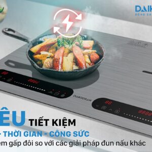 Daikiosan bếp từ đôi DKT-200006